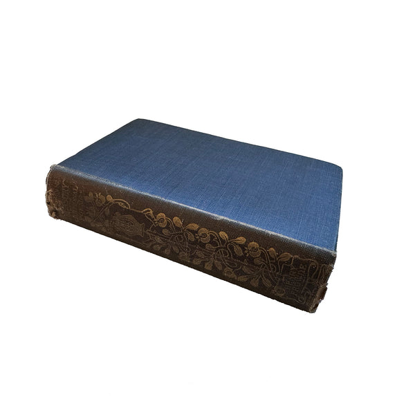 blue and brown decorative book cover