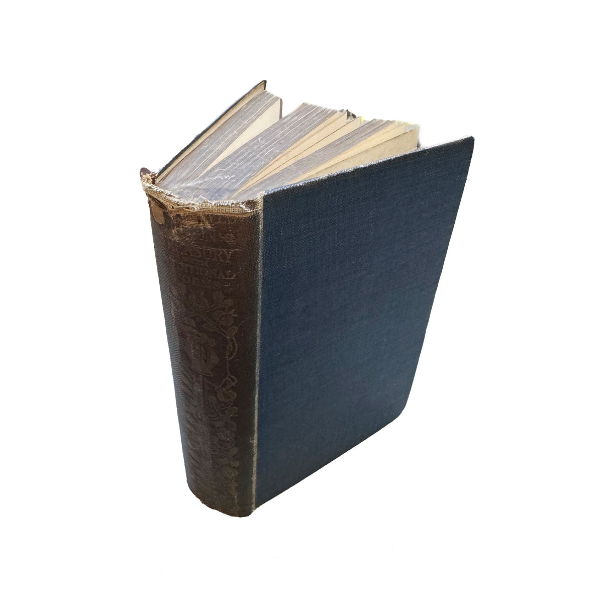 standing up book with blue cover and brown spine with pages showing and creases and tears to top