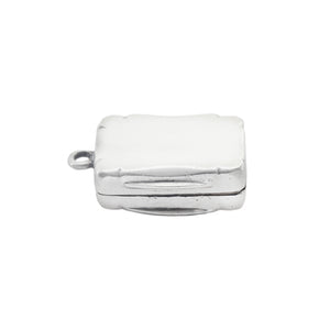 Silver vesta case on a white background