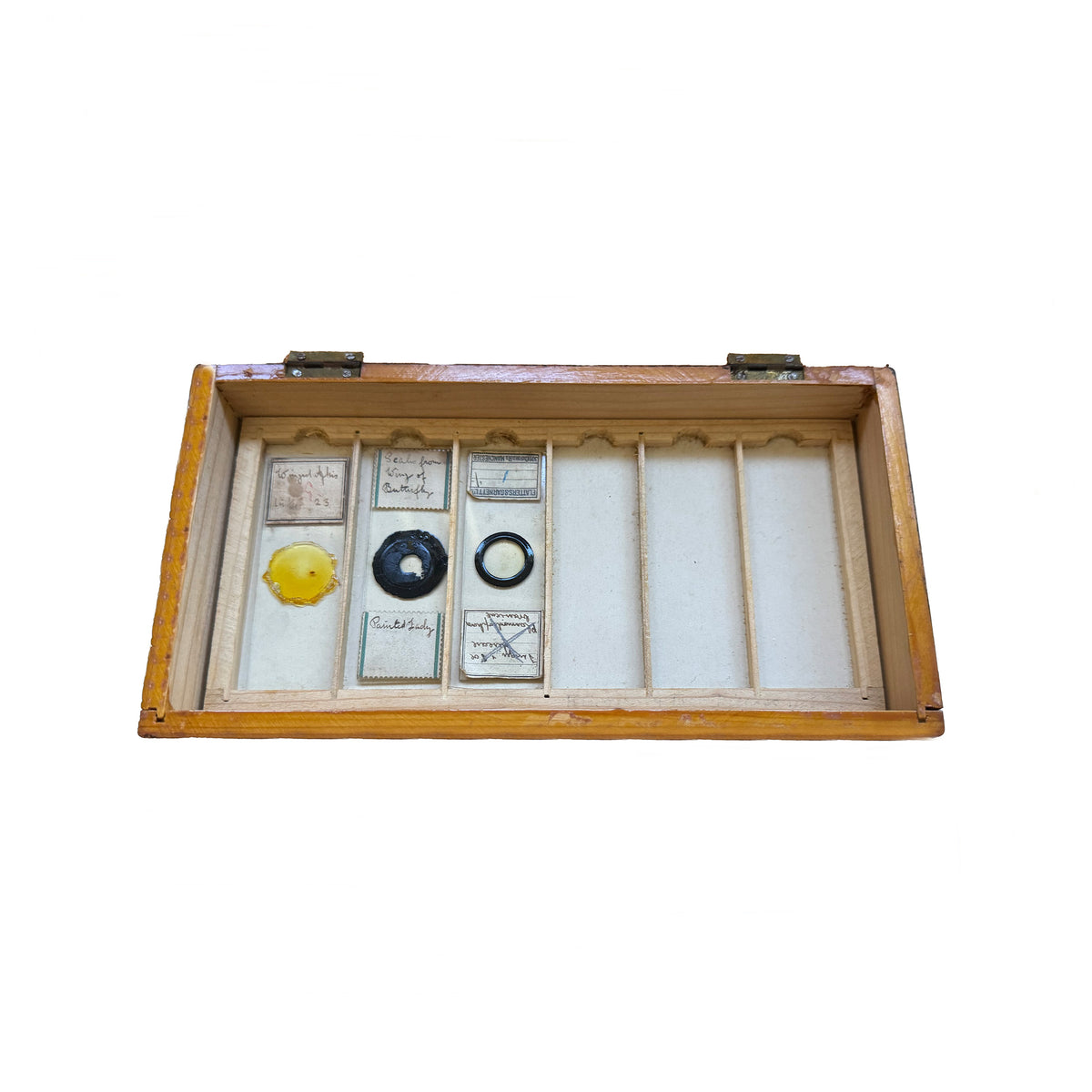 Antique box of microscope slide in wooden box