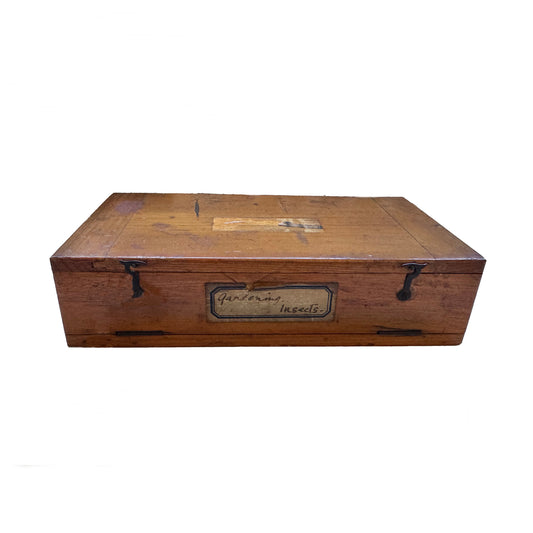 Early 1900s boxed set of microscope slides