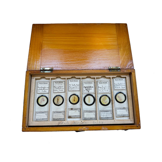 Antique wooden box containing microscope slides with labels, closed with hinges.