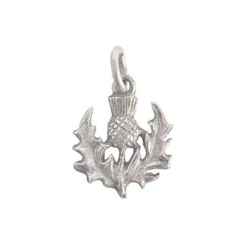 Silver thistle pendant on a white background