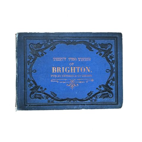 blue landscape book thirty two views of Brighton with white background